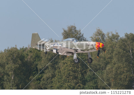A US military P-51D Mustang landing 115221278