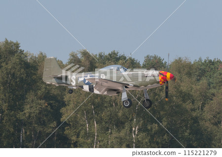 A US military P-51D Mustang landing 115221279