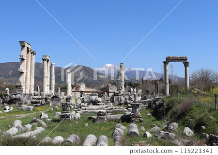 Aphrodisias Ruins, World Heritage Site, Aegean Coast, Turkey, Asia Aphrodisias Ruins, World Heritage Site, Aegean Coast, Turkey, Asia 115221341