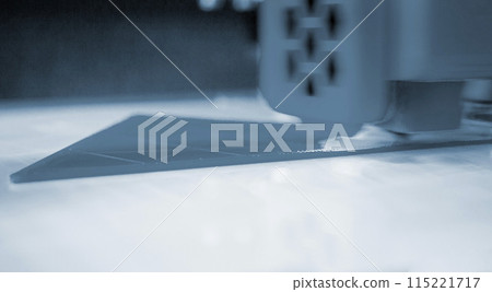 3D printer printing a model. Equipment of a 3D printer during the process of printing a model from molten plastic 115221717