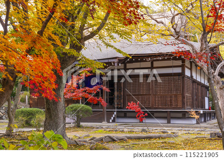 秋天的京都,甘修寺正殿被秋葉覆蓋 秋天的京都,甘修寺正殿被秋葉覆蓋 115221905