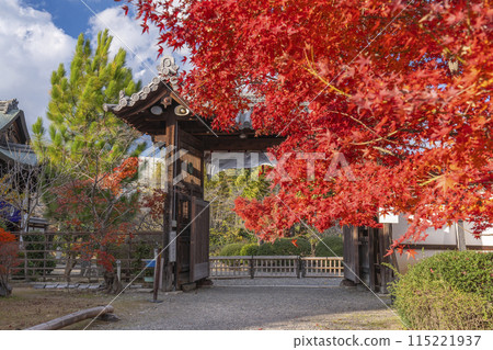 秋天的京都,觀修寺的中門(德門)被秋葉覆蓋 秋天的京都,觀修寺的中門(德門)被秋葉覆蓋 115221937
