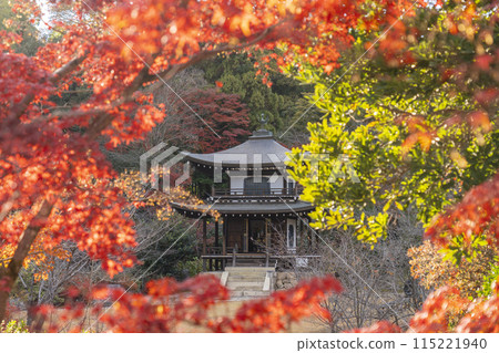 秋天的京都，觀音堂、觀修寺被秋葉覆蓋 115221940