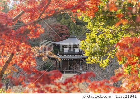 秋天的京都，觀音堂、觀修寺被秋葉覆蓋 115221941