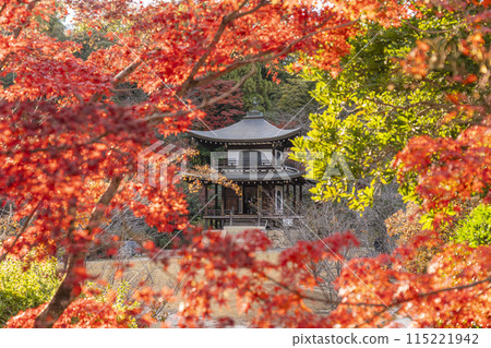 秋天的京都,觀音堂、觀修寺被秋葉覆蓋 秋天的京都,觀音堂、觀修寺被秋葉覆蓋 115221942