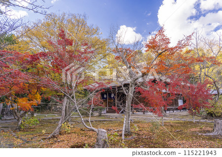 秋天的京都，甘修寺正殿被秋葉覆蓋 115221943