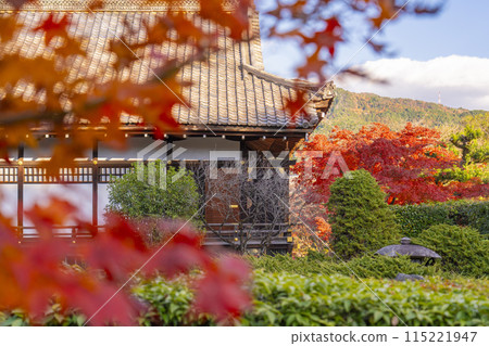 Autumn in Kyoto: Kanshuji Temple's Shoin South Garden surrounded by autumn leaves Autumn in Kyoto: Kanshuji Temple's Shoin South Garden surrounded by autumn leaves 115221947