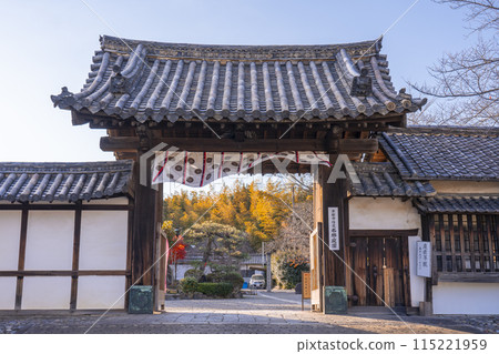 秋天的京都,觀修寺山門被秋葉覆蓋 秋天的京都,觀修寺山門被秋葉覆蓋 115221959