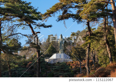 東京，青梅市，冬天，鹽船觀音寺 115222067