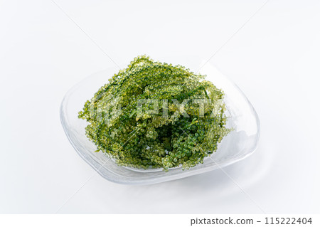    海洋葡萄 115222404