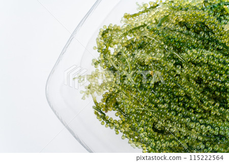 Close-up of sea grapes Close-up of sea grapes 115222564