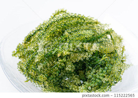 Close-up of sea grapes 115222565