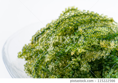 Close-up of sea grapes 115222566