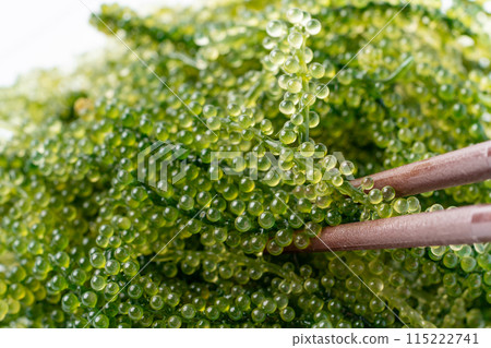Sea grapes picked up with chopsticks Sea grapes picked up with chopsticks 115222741