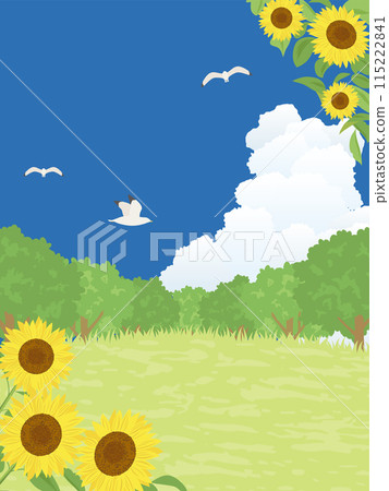 Summer scenery: A hill covered with sunflowers 115222841