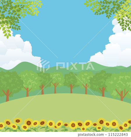 夏日風景: 向日葵盛開的小山 夏日風景: 向日葵盛開的小山 115222843