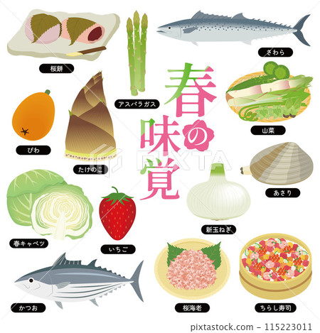 Spring flavors illustration set 115223011