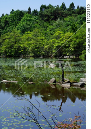 瀨戶內海國立公園、野呂山公園、冰池 115223180