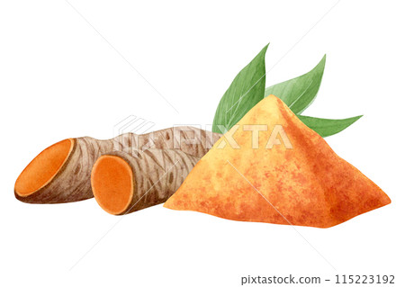 Curcuma turmeric root slices with leaves and ground spice powder watercolor illustration isolated on white. Cut orange and brown curcumin herb, hand drawn natural cooking ingredients 115223192