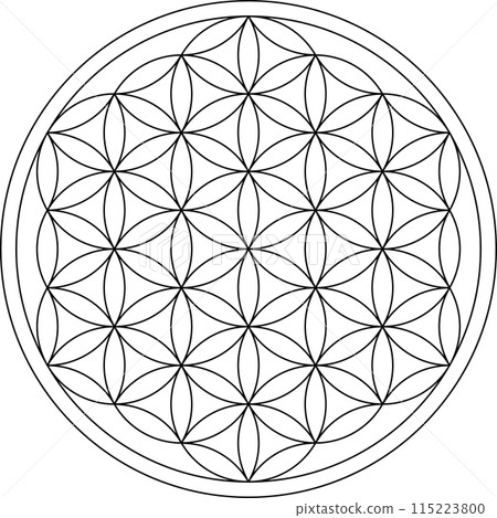 Flower of life, spiritual symbol, vector illustration Flower of life, spiritual symbol, vector illustration 115223800