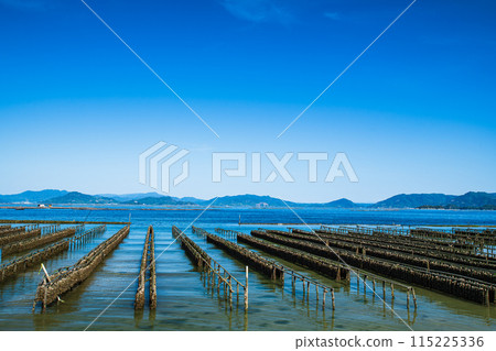 Scenery of Jigozen Coast Scenery of Jigozen Coast 115225336