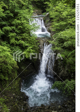 Fresh greenery in Nishizawa Valley Nanatsugama Godan Falls 115225351