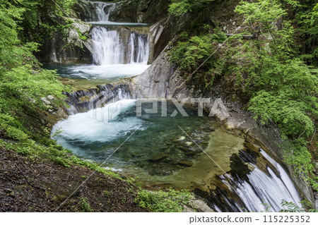 Fresh greenery in Nishizawa Valley Nanatsugama Godan Falls 115225352