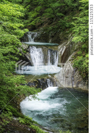 Fresh greenery in Nishizawa Valley Nanatsugama Godan Falls 115225353