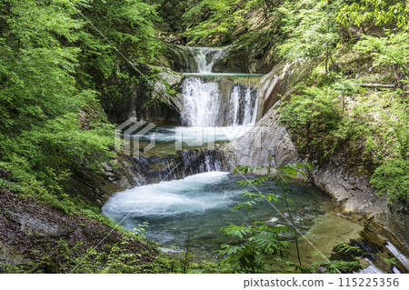Fresh greenery in Nishizawa Valley Nanatsugama Godan Falls 115225356