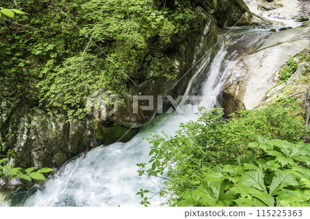 Fresh greenery in the Nishizawa Valley, Teizen Falls Fresh greenery in the Nishizawa Valley, Teizen Falls 115225363