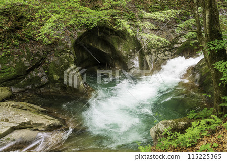 Fresh greenery in Nishizawa Valley, Mother's Womb 115225365