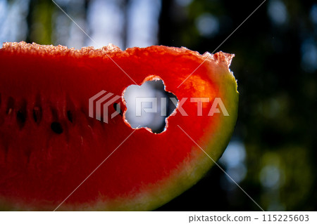 Fresh juicy red watermelon slice flower shaped in hands on background of outdoor garden in summertime during sunset. Concept of summer holidays and vacation. Slow-living 115225603