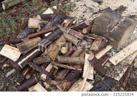 Lumberjack chopped the tree trunks. Lumberjack chopped the tree trunks. 115225834
