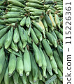 Corn 115226361
