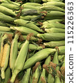 Harvested corn 115226363