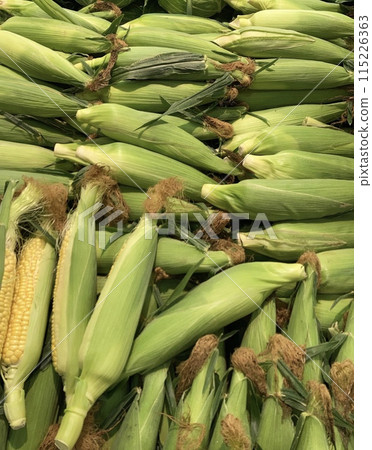 Harvested corn 115226363