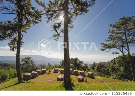 travel and people activity concept with large pine with layer of mountain and cloudy sky background 115226456