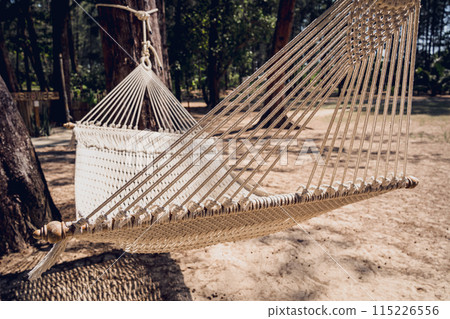 A white rope hammock swings between two trees A white rope hammock swings between two trees 115226556