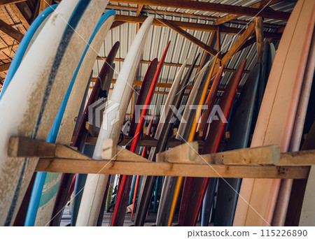 A variety of surfboards are neatly displayed on a stand 115226890