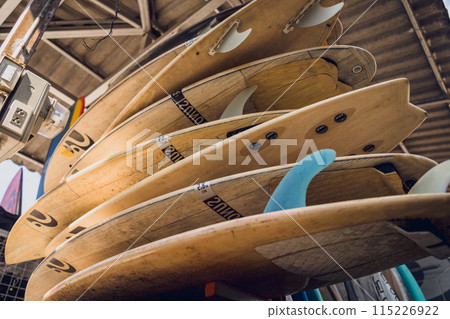 A variety of surfboards are neatly displayed on a stand 115226922