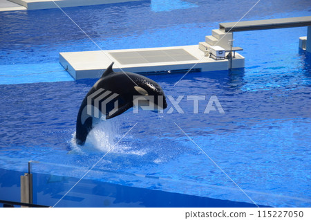 Kobe Suma Sea World Kobe Suma Sea World 115227050