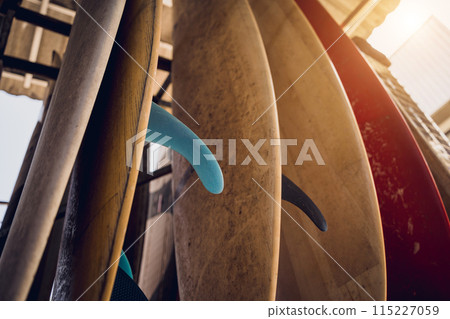 A variety of surfboards are neatly displayed on a stand 115227059