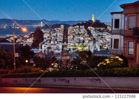 City street cutting through city at night with Coit Tower illuminated in distance City street cutting through city at night with Coit Tower illuminated in distance 115227086