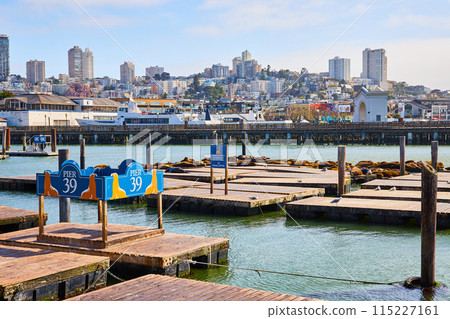 Blue Pier 39 sign with seals and real sealions sunbathing on piers with city skyline 115227161