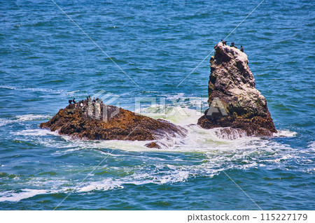 Brown birds on partially submerged rocks in ocean Brown birds on partially submerged rocks in ocean 115227179