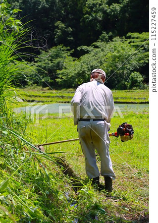 The back view of a farmer mowing the grass around an irrigation channel in the Satoyama area of Moroyama Town 115227459
