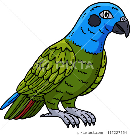 Pionus Parrot Bird Cartoon Colored Clipart I 115227564