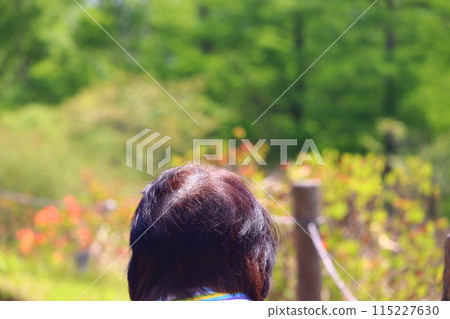 染白髮的老年女性,頭皮稀疏 染白髮的老年女性,頭皮稀疏 115227630