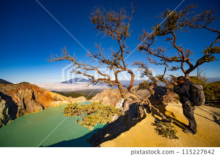 Deadwood Leafless Tree with Turquoise Water Lake,Beautiful nature Landscape mountain and green lake at Kawah Ijen volcano,East Java, Indonesia 115227642