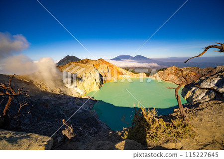 Deadwood Leafless Tree with Turquoise Water Lake,Beautiful nature Landscape mountain and green lake at Kawah Ijen volcano,East Java, Indonesia 115227645